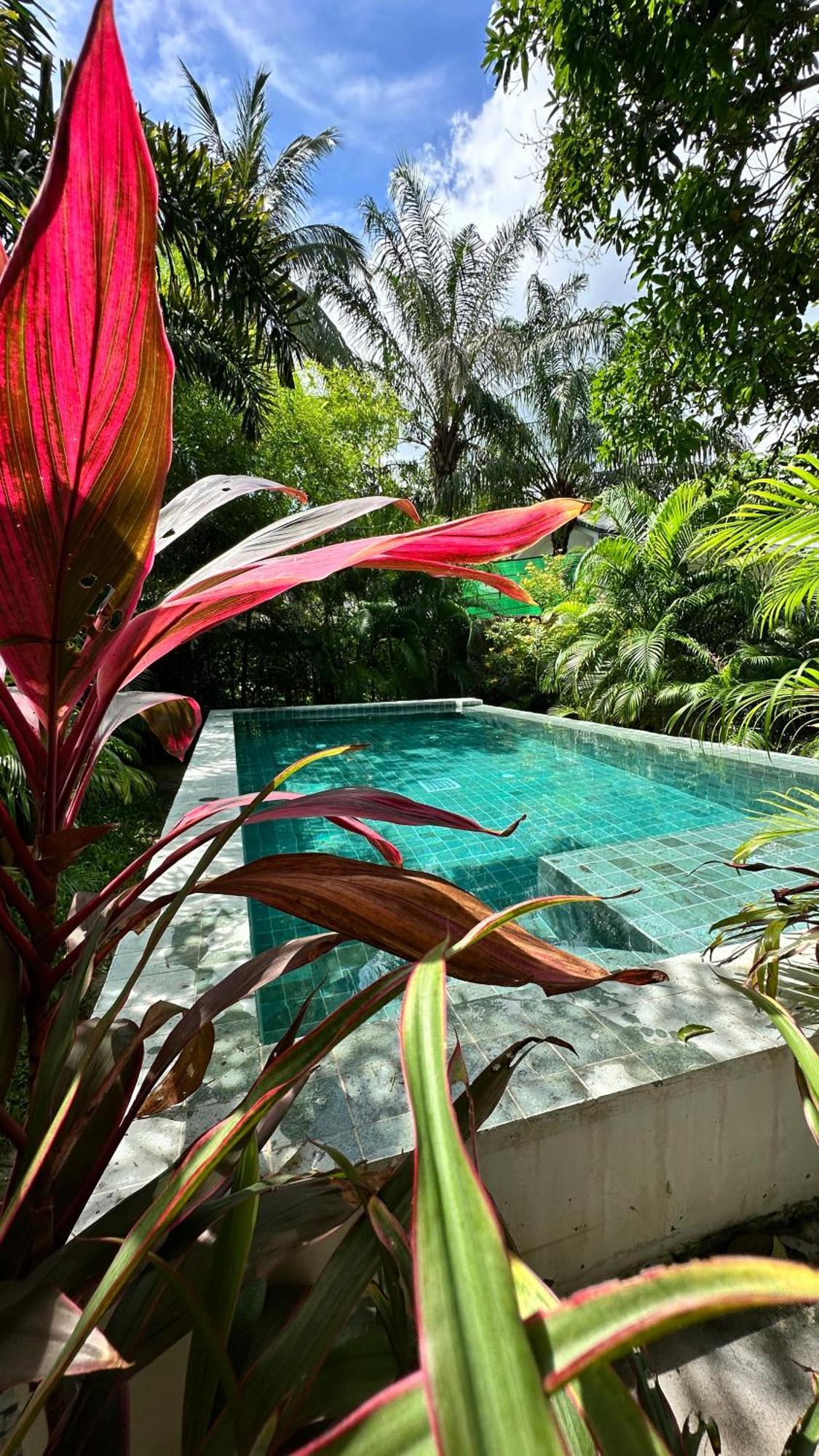 Salad Beach Guest House Ko Pha Ngan Zewnętrze zdjęcie